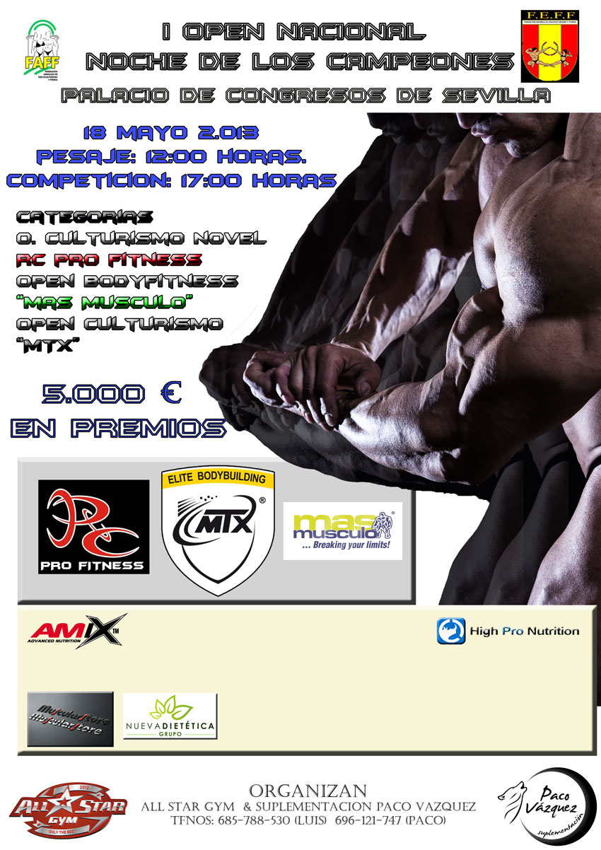 cartel_open_sevilla_2013